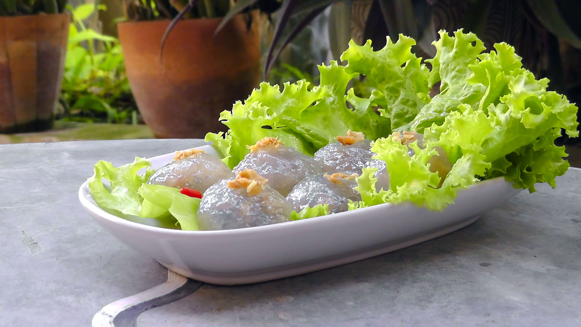 thai-gefuellte-sago-baellchen-vegetarisches-vegan-rezept